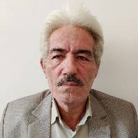 حسن زارعی